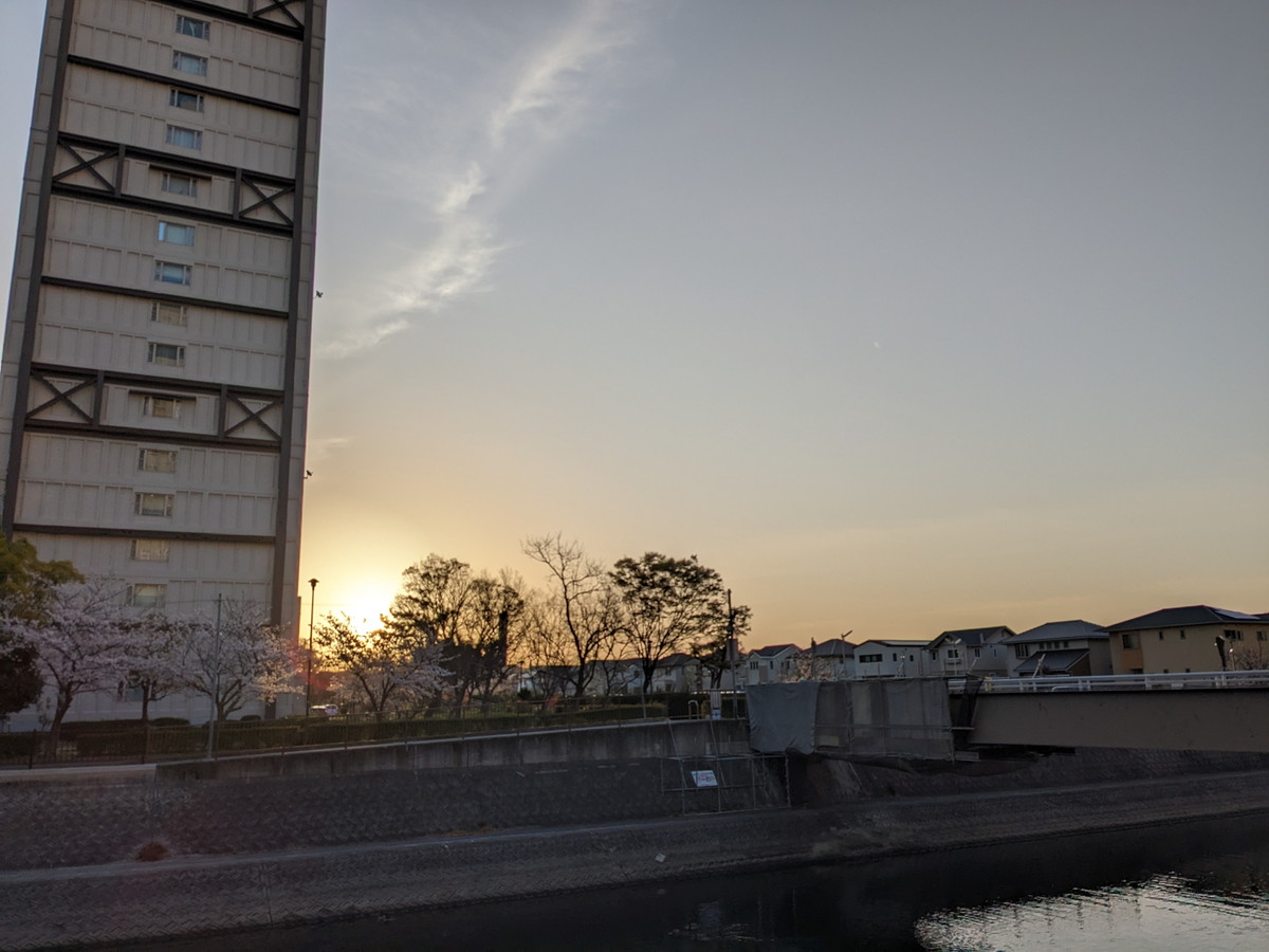 川沿いの高層住宅。奥には朝日が見える