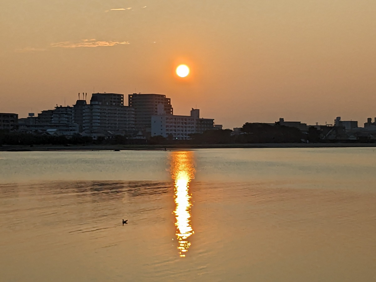 海に浮かぶ朝日の写真。海面には水鳥が浮かび、太陽が反射している